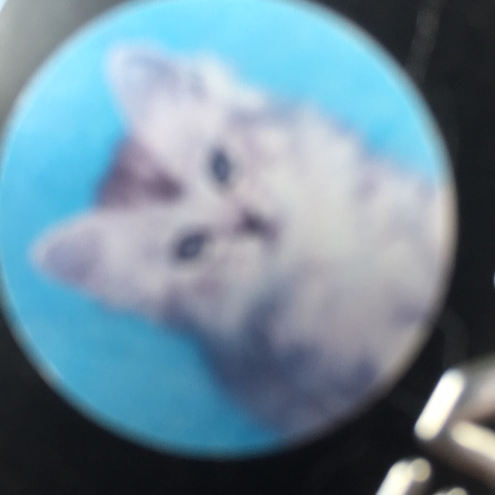 Meet your Posher, Brandy